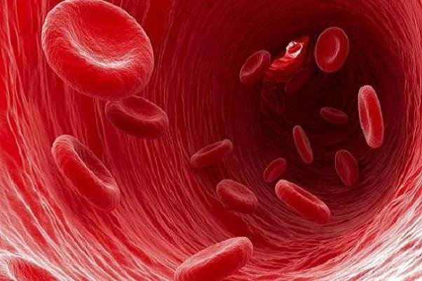 آنمی چیست و چگونه میتوان آن را درمان کرد؟