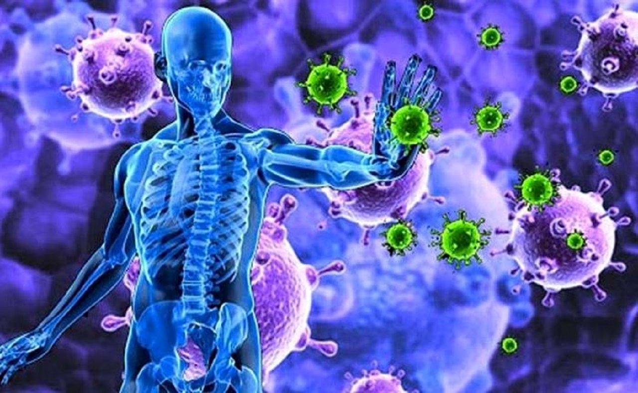 Поражения иммунной системы. Иммуно защитная система организма. Иммунитет человека. Вирус в организме. Иммунология и человек.