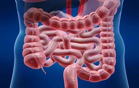 کرونا/ کاهش تاثیر واکسن کرونا در مبتلایان به بیماری التهاب روده