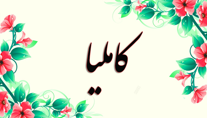 انتخاب اسم؛ معنی اسم «کاملیا» چیست؟