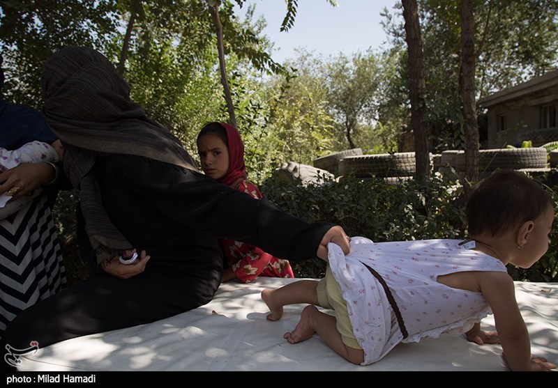 عکس/ کمپ پناهندگان پارک آزادی شمال شرق در افغانستان