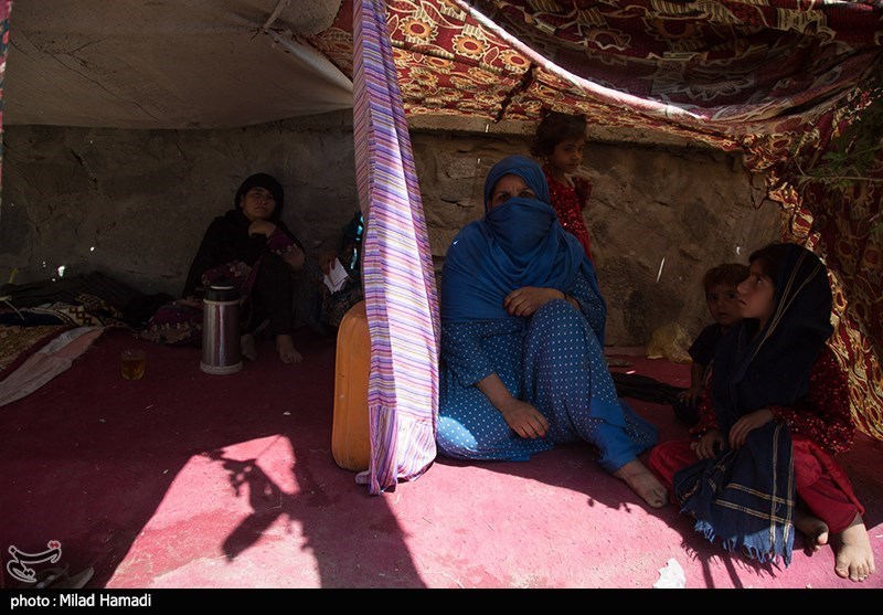 عکس/ کمپ پناهندگان پارک آزادی شمال شرق در افغانستان