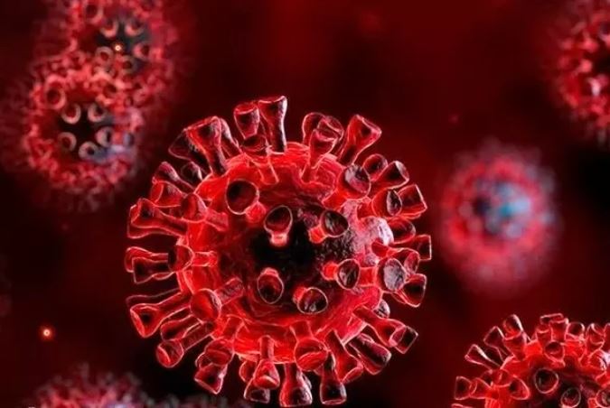 کرونا ویروس توانایی آسیب به DNA انسانی را دارد