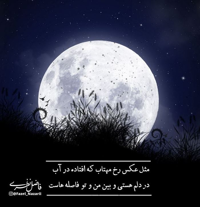 شاعرانه/"بی قرار توام و در دل تنگم گله هاست" از فاضل نظری