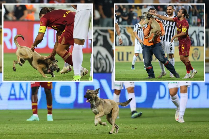 ورود یک سگ به درون زمین در سوپر لیگ ترکیه!