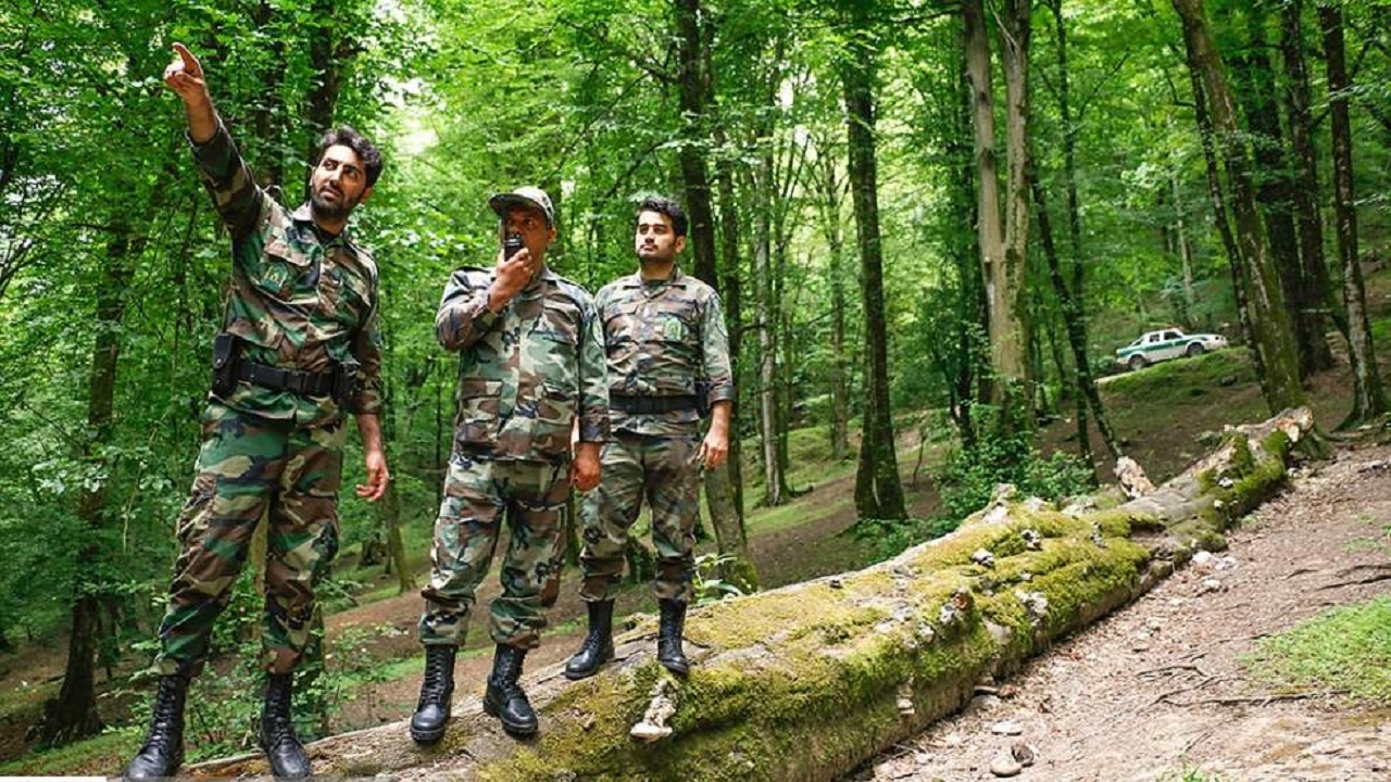 پوشش ۱۰۰ درصدی شبکه بیسیم در جنگلهای غرب مازندران