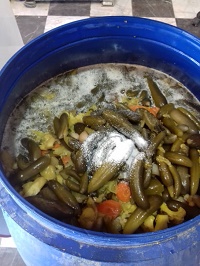 معدوم سازی بیش از ۶ تُن مواد غذایی فاسد در شیراز