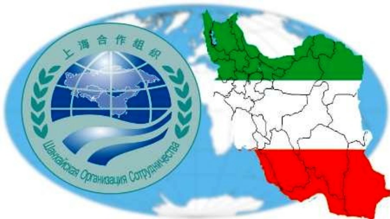 اعداد شگفت انگیز سازمان شانگهای