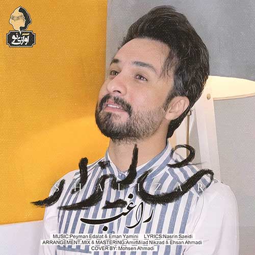 آهنگ جدید/ راغب از «شالیزار» خواند 