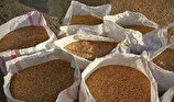 کشف یک هزار تن سبوس احتکاری در مازندران