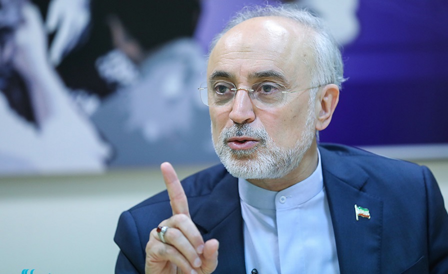صالحی: حکمرانی با جبر میسر نمیشود