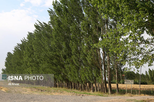 طبیعت اردبیل در واپسین روزهای تابستان