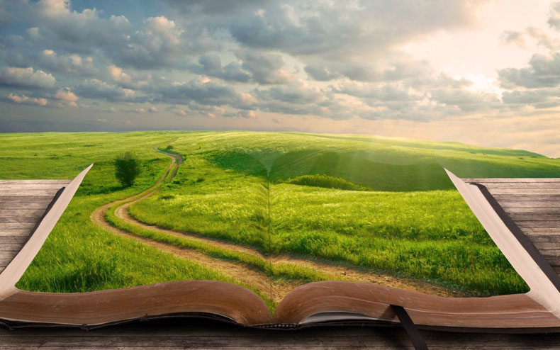 داستان طنز/ تجویز دکتر برای همسر