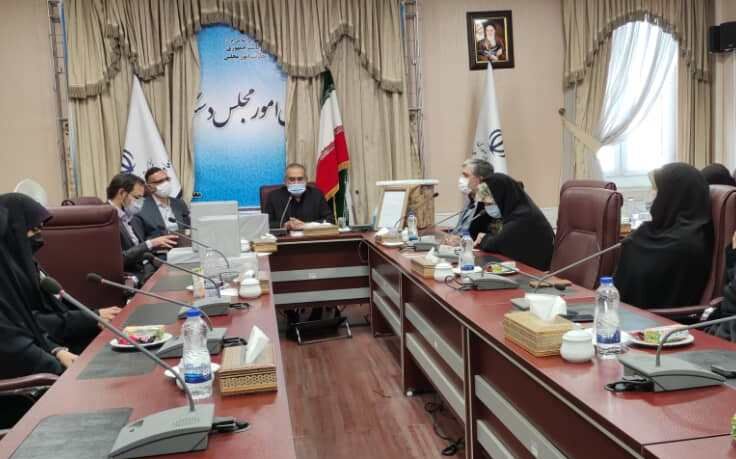 حسینی: تعامل خوبی بین دولت و مجلس وجود دارد