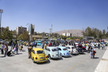 همایش خودروهای خانواده فولکس واگن در شیراز
