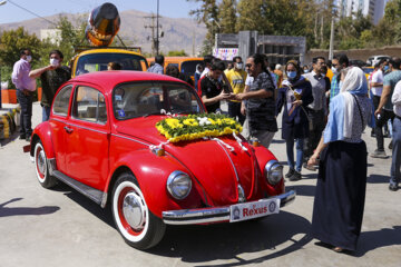 همایش خودروهای خانواده فولکس واگن در شیراز