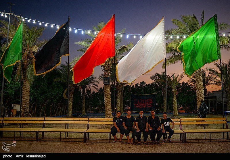 عکس/ هیاهوی زائران در مسیر نجف به کربلا