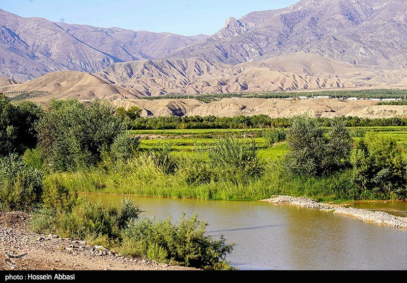 عکس/ بازگشت امید به شالیزارهای استان زنجان