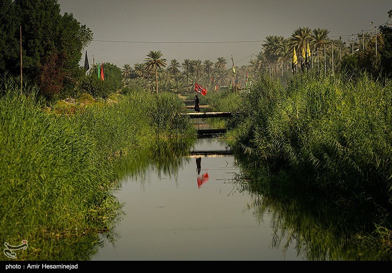 عکس/ هیاهوی زائران در مسیر نجف به کربلا