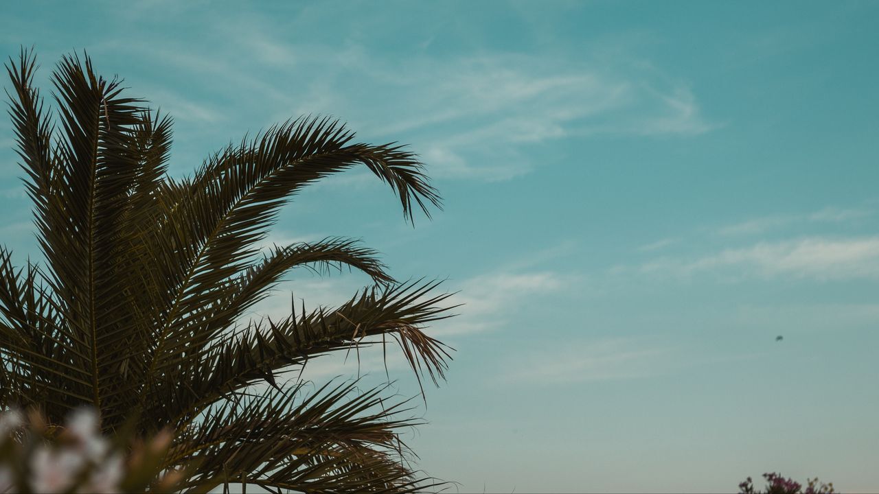 جذاب‌ترین تصاویر پس زمینه 