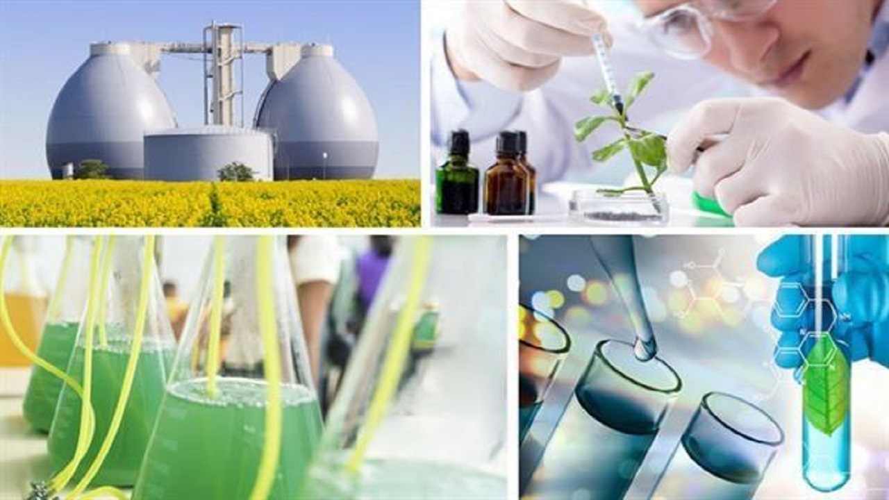 استفاده از باکتریها برای تولید فراوردههای زیستی