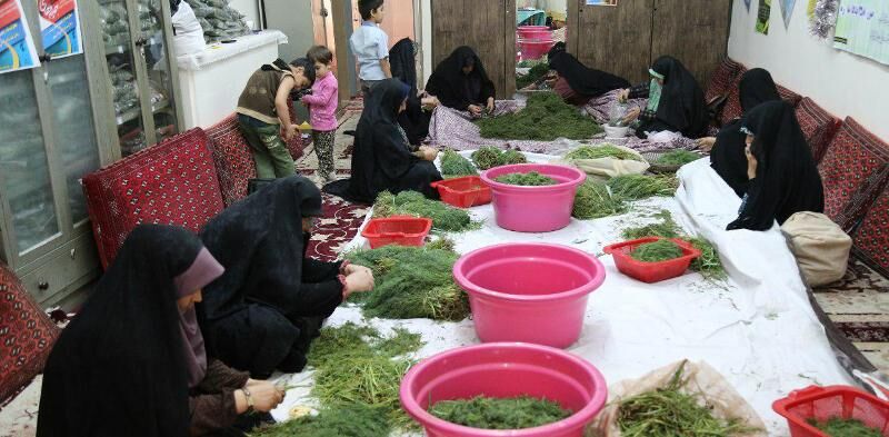 زن سرپرست خانوار کرجی برای ۲۰ نفر اشتغال ایجاد کرد