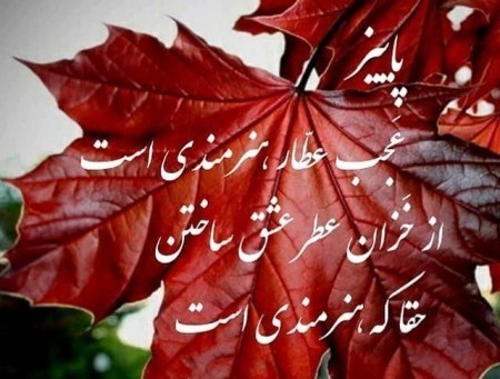 سلام شب بخیر