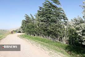 کاهش محسوس دمای هوا در زنجان