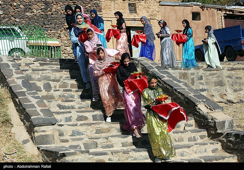 عکس/ جشنواره برداشت آلو در روستای «حیدره قاضی خانی» همدان