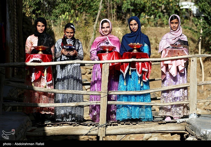 عکس/ جشنواره برداشت آلو در روستای «حیدره قاضی خانی» همدان