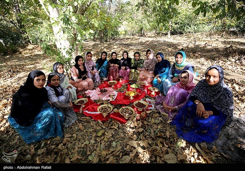 عکس/ جشنواره برداشت آلو در روستای «حیدره قاضی خانی» همدان