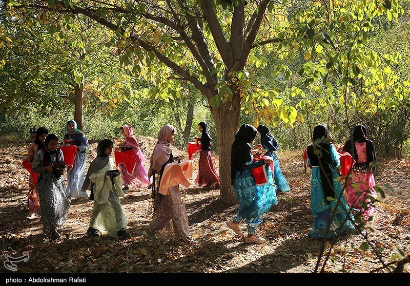 عکس/ جشنواره برداشت آلو در روستای «حیدره قاضی خانی» همدان