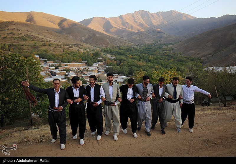 عکس/ جشنواره برداشت آلو در روستای «حیدره قاضی خانی» همدان