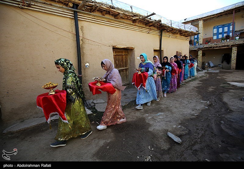 عکس/ جشنواره برداشت آلو در روستای «حیدره قاضی خانی» همدان