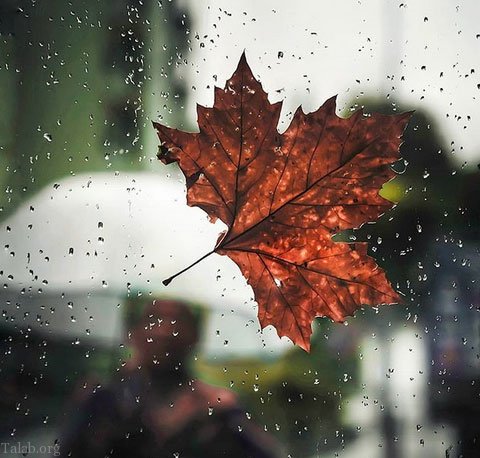 دمای زنجان به مرز صفر درجه رسید