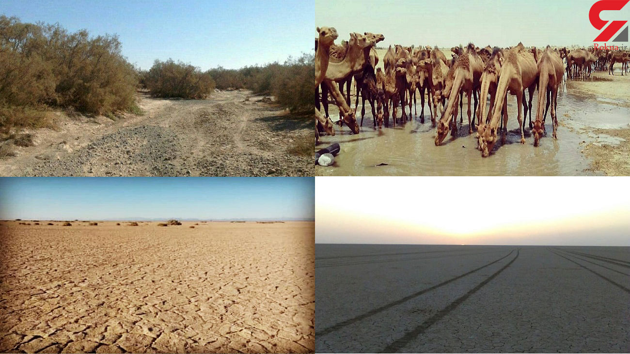 تالاب جازموریان در معرض خشک شدن کامل