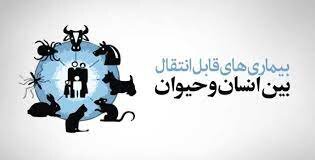 رئیس دامپزشکی بم: ۷۵ درصد بیماریهای نوپدید جزو بیماریهای قابل انتقال از دام به انسان هستند