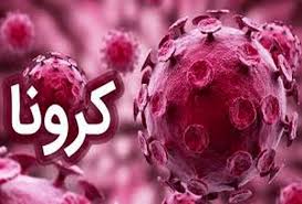 اینفوگرافیک/ آمار تفکیکی بیماران کرونایی استان همدان