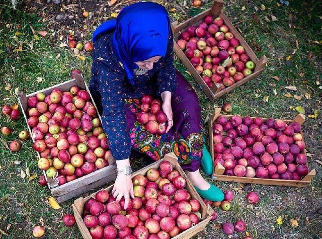 پروانه گردشگری کشاورزی در ۴ شهر آذربایجان‌شرقی صادر شد