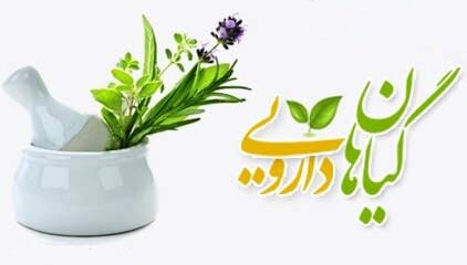 کشف بیش از ۸ تن گیاهان دارویی قاچاق در استان کرمان