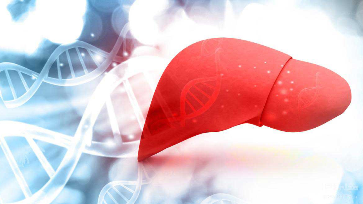 رژیم غذایی مناسب کبد از نگاه طب سنتی