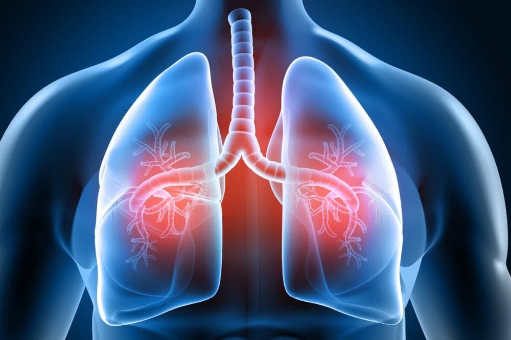 چگونه ریه‌ها را تقویت کرده و از بیماری‌های کشنده جلوگیری کنیم