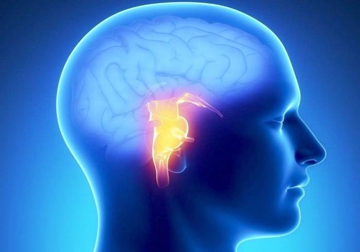سلول های هدف در بیماری آلزایمر باعث آشفتگی در خواب فرد می شود