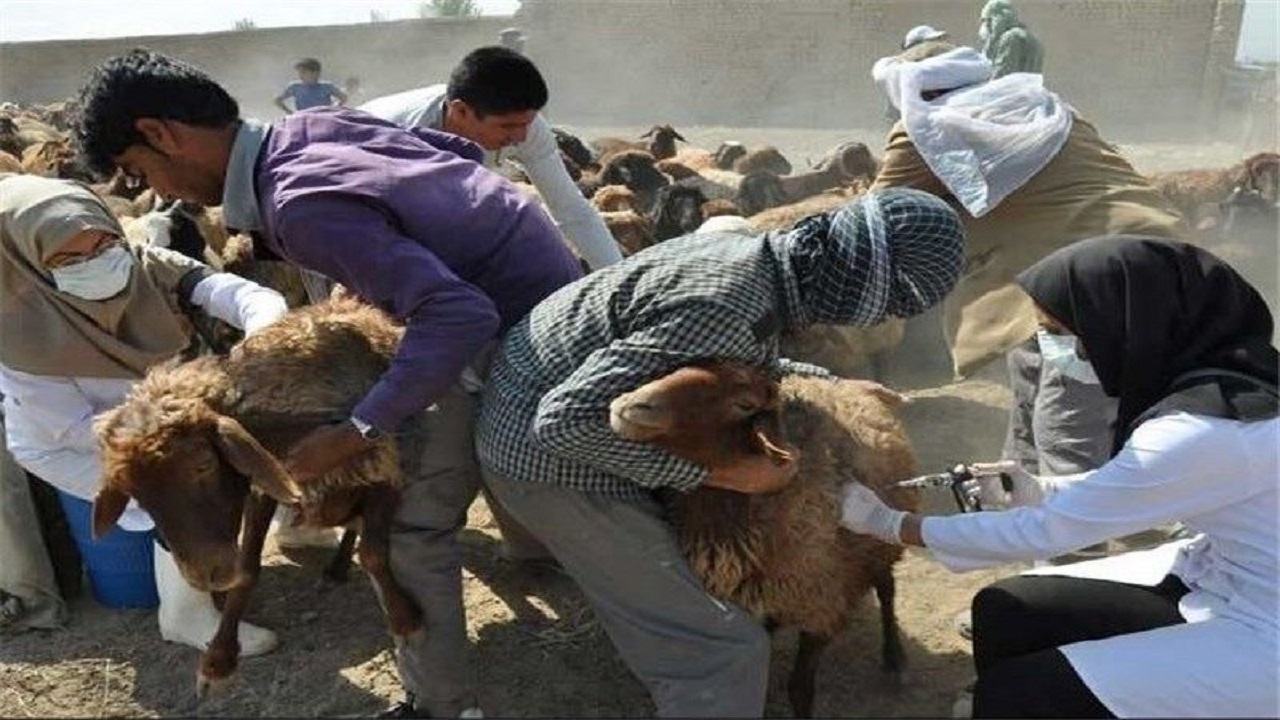 خوزستان عاری از طاعون نشخوارکنندگان