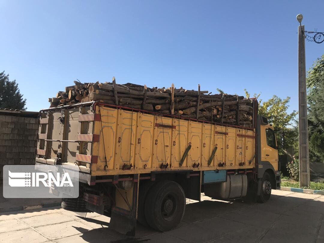 ۱۰ تُن چوب قاچاق در مهاباد توقیف شد