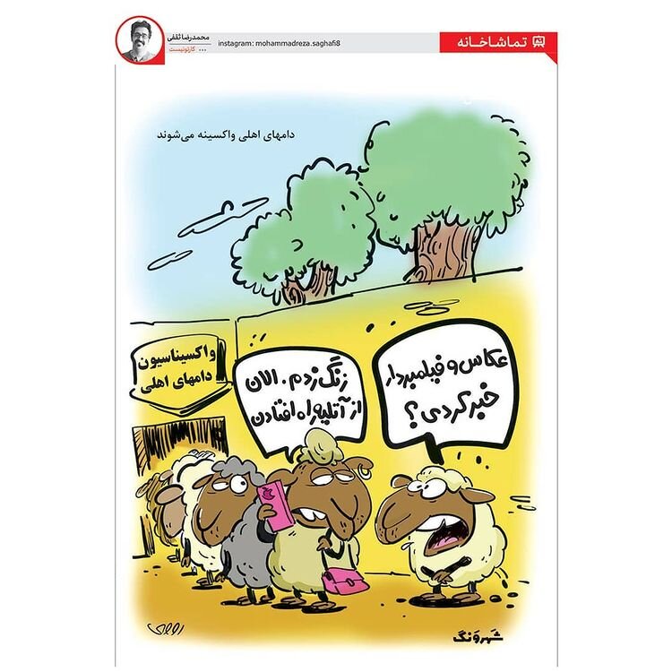 کاریکاتور/ واکسیناسیون گوسفندها هم کلید خورد!