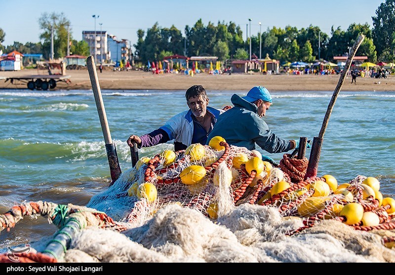 آغاز فصل صید ماهی در مازندران