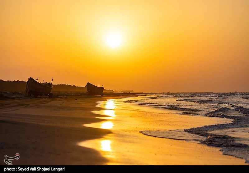 آغاز فصل صید ماهی در مازندران