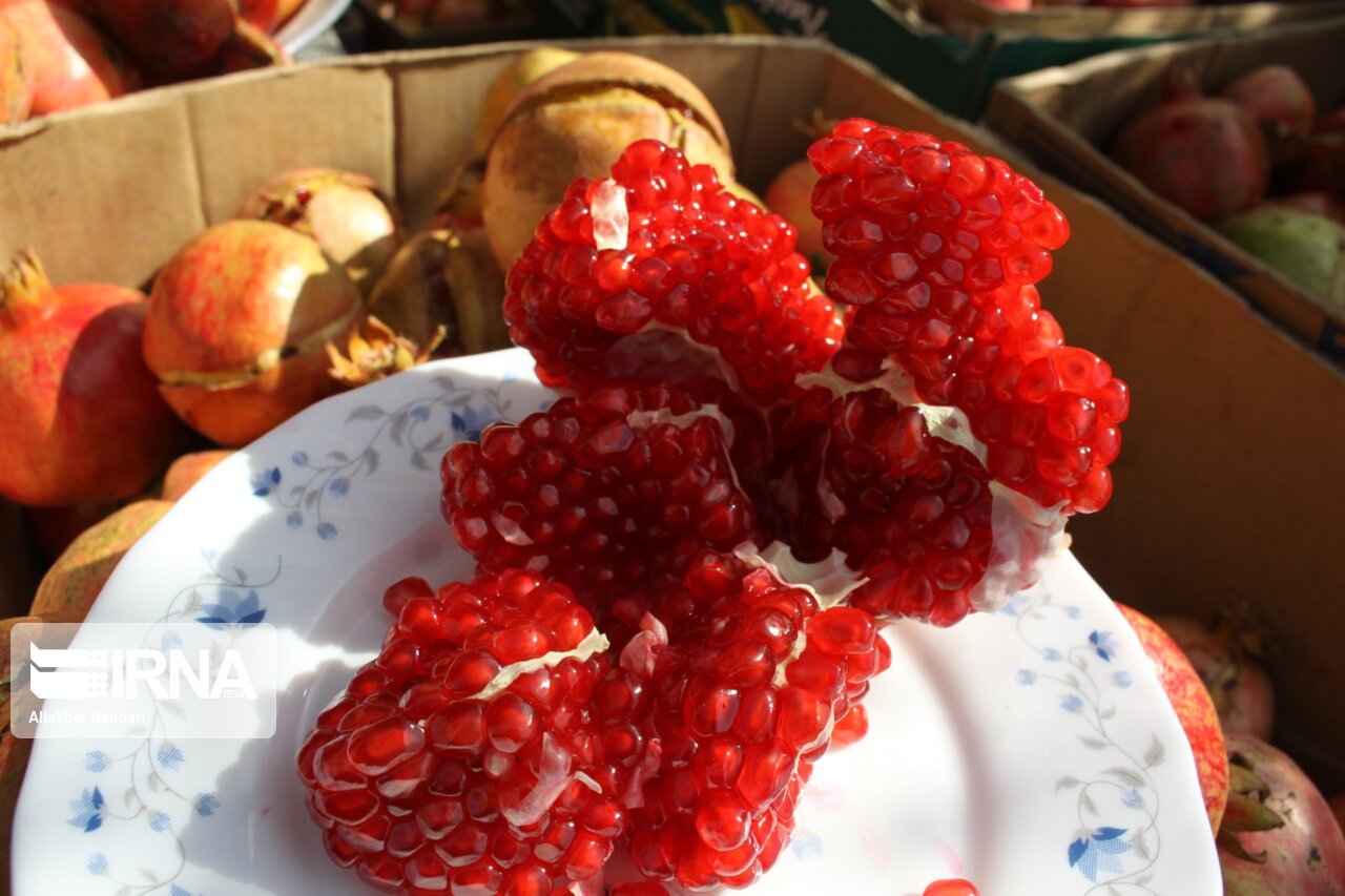 برداشت انار درجزین