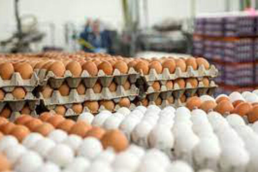 روز جهانی یک غذای خوشمزه؛ خوردن ۵ تخم مرغ در هفته اشکالی ندارد!